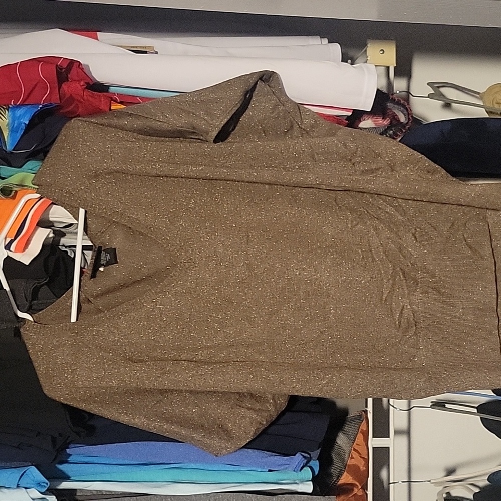 Lane Bryant sweater (sz 22/24)